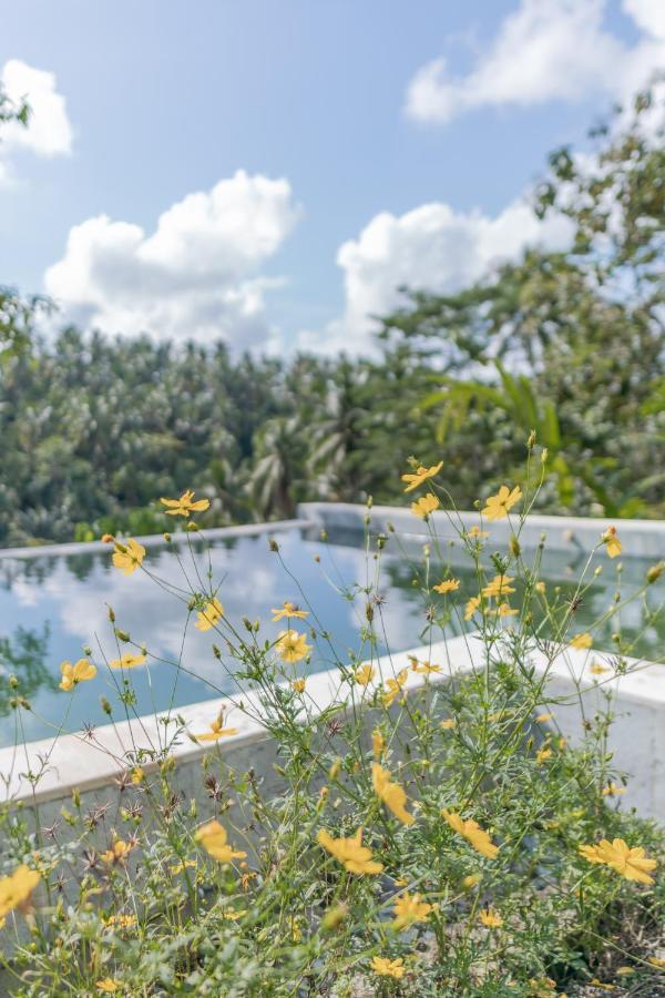 Luxury tent Galalima Glamping By Agata