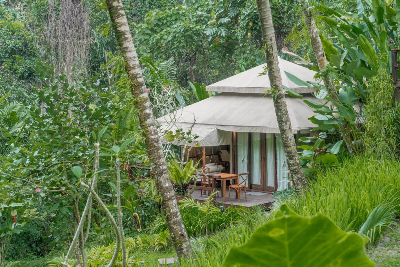 Galalima Glamping By Agata 4*